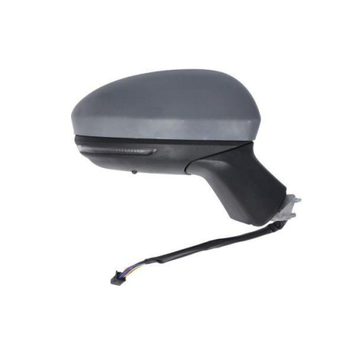 BLIC Au&szlig;enspiegel 5402-09-2313311P