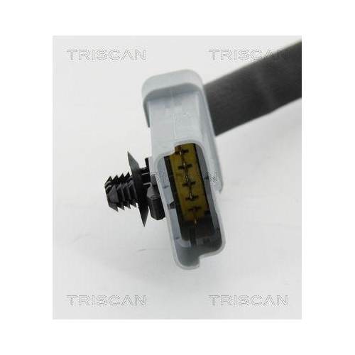 TRISCAN AGR-Ventil 8813 10202