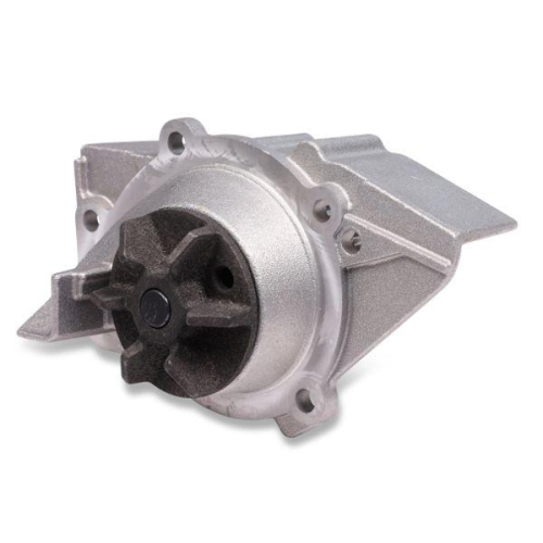 HEPU Wasserpumpe, Motork&uuml;hlung P889