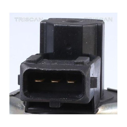 TRISCAN AGR-Ventil 8813 11010