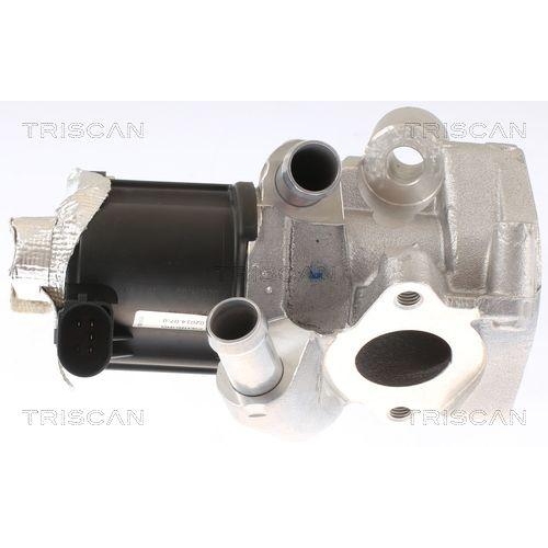 TRISCAN AGR-Ventil 8813 14006