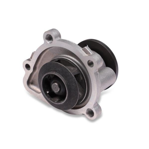 HEPU Wasserpumpe, Motork&uuml;hlung P901