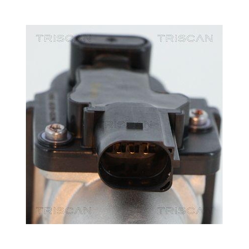 TRISCAN AGR-Ventil 8813 18045