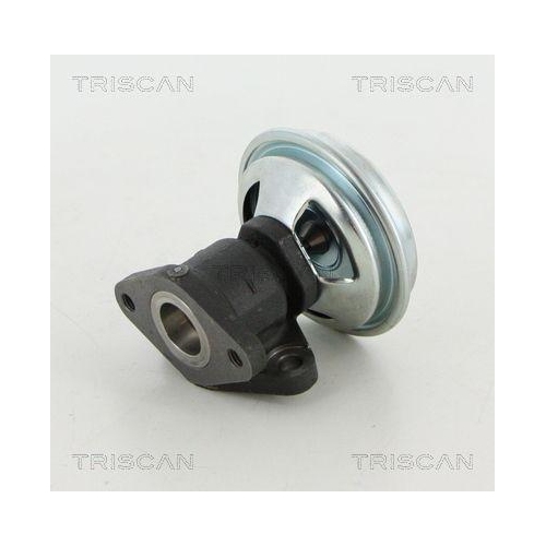 TRISCAN AGR-Ventil 8813 21002