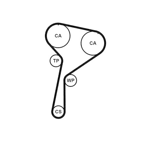 CONTINENTAL CTAM Wasserpumpe + Zahnriemensatz CT1244WP1