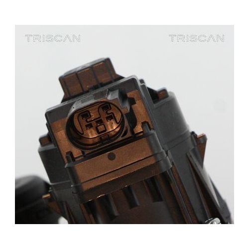 TRISCAN AGR-Ventil 8813 21010