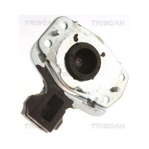 TRISCAN Lagerung, Motor 8505 10118