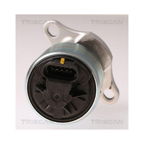 TRISCAN AGR-Ventil 8813 21026