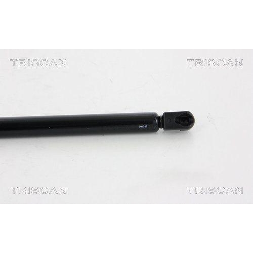 TRISCAN Gasfeder, Koffer-/Laderaum 8710 28242