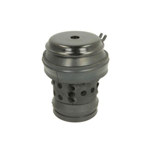 REINHOCH Lagerung, Motor RH11-0019
