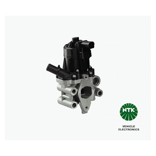 AGR-Ventil Abgasregelventil EGE5-V152 90189