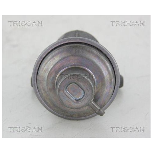 TRISCAN AGR-Ventil 8813 25006