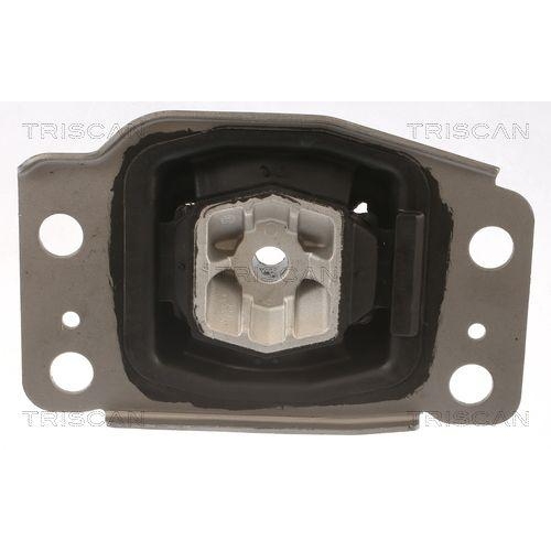 TRISCAN Lagerung, Motor 8505 10137