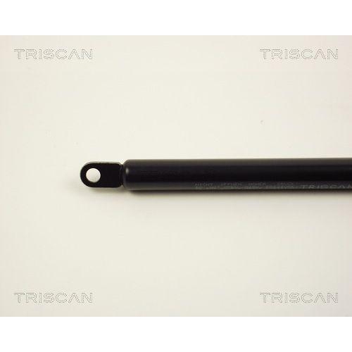 TRISCAN Gasfeder, Koffer-/Laderaum 8710 2910