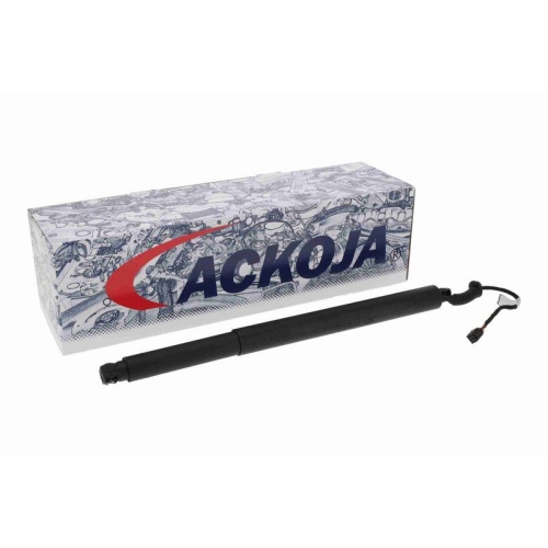 ACKOJA Elektromotor, Heckklappe Original ACKOJA Qualit&auml;t A53-55-0005