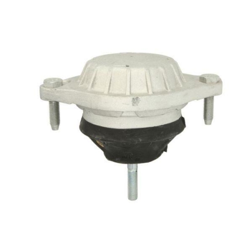 REINHOCH Lagerung, Motor RH11-0021