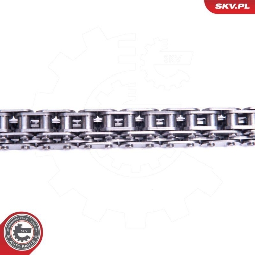 ESEN SKV Steuerkettensatz 21SKV238