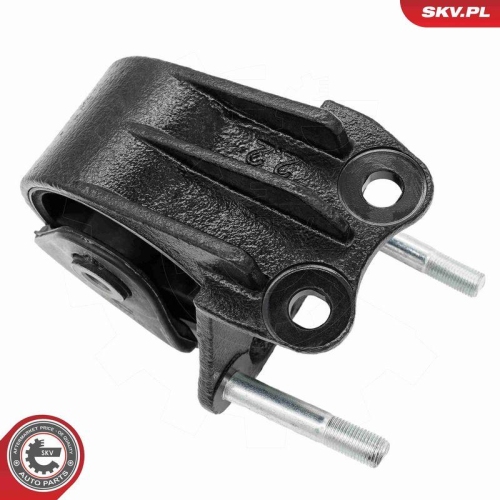 ESEN SKV Lagerung, Motor 75SKV336