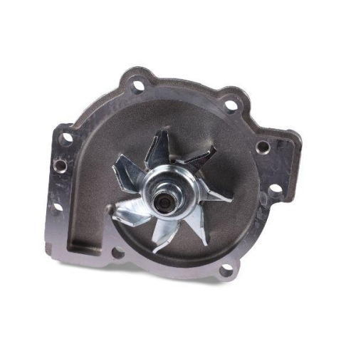 HEPU Wasserpumpe, Motork&uuml;hlung P060