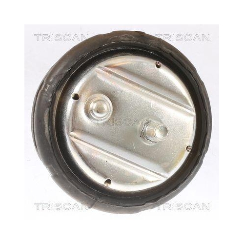 TRISCAN Lagerung, Motor 8505 11101