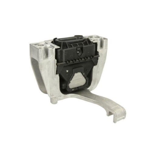 REINHOCH Lagerung, Motor RH11-0089