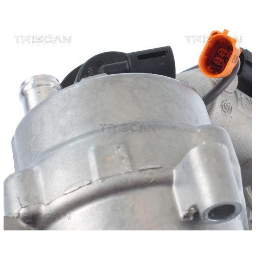 TRISCAN AGR-Ventil 8813 29321