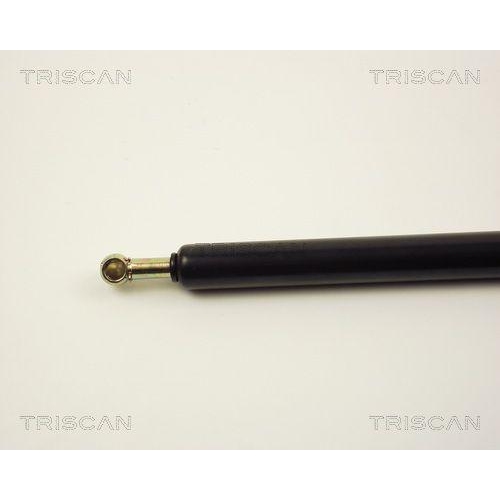 TRISCAN Gasfeder, Koffer-/Laderaum 8710 2920