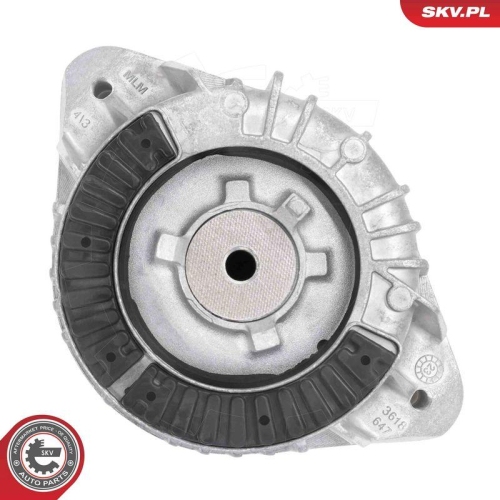 ESEN SKV Lagerung, Motor 75SKV328