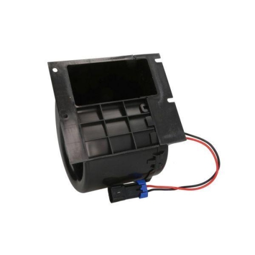 THERMOTEC Elektromotor, Innenraumgebl&auml;se DDJD001TT