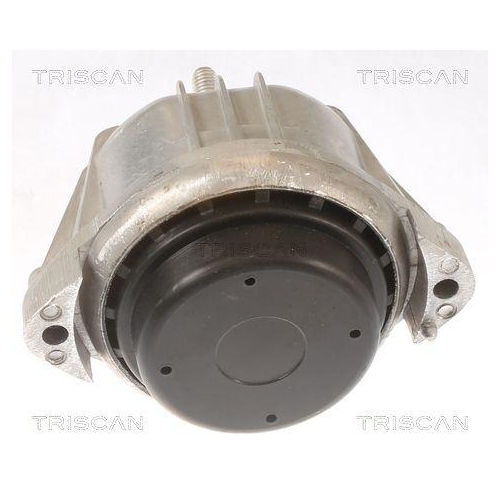 TRISCAN Lagerung, Motor 8505 11106