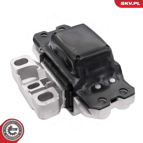 ESEN SKV Lagerung, Motor 75SKV329