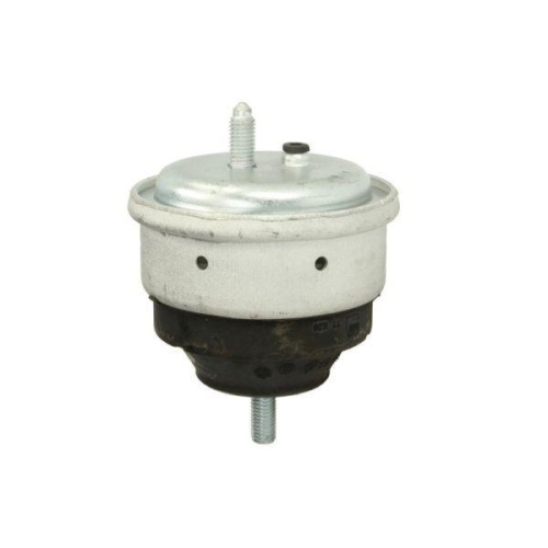REINHOCH Lagerung, Motor RH11-3021