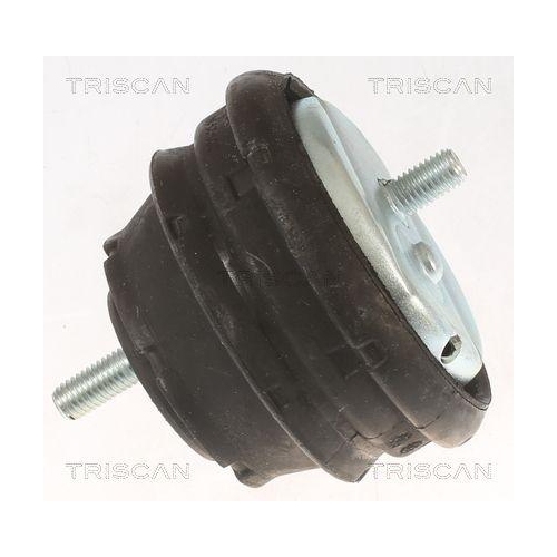 TRISCAN Lagerung, Motor 8505 11112