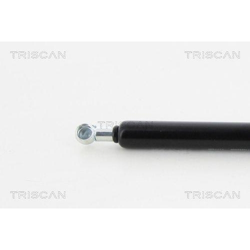 TRISCAN Gasfeder, Koffer-/Laderaum 8710 292008