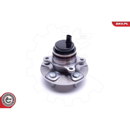 ESEN SKV Radlagersatz