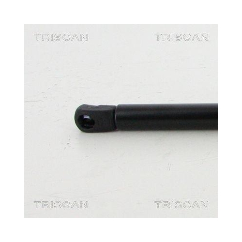 TRISCAN Gasfeder, Koffer-/Laderaum 8710 292017