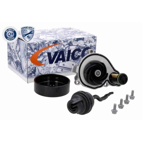 VAICO Wasserpumpe, Motorkühlung EXPERT KITS + V20-50070-1