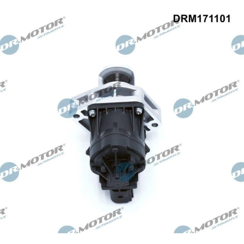 Dr.Motor Automotive AGR-Ventil