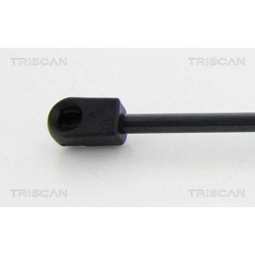 TRISCAN Gasfeder, Koffer-/Laderaum 8710 292029