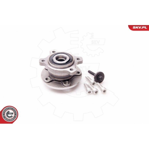 ESEN SKV Radlagersatz 29SKV076