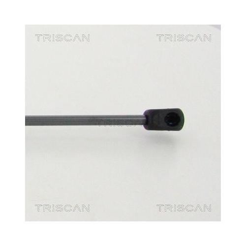 TRISCAN Gasfeder, Koffer-/Laderaum 8710 292041