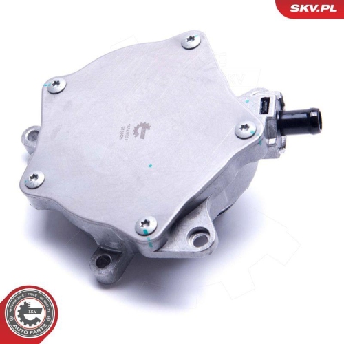 ESEN SKV Unterdruckpumpe, Bremsanlage 18SKV031