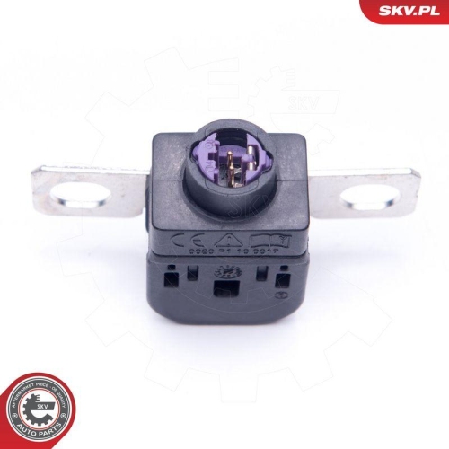 ESEN SKV &Uuml;berspannungsschutzger&auml;t, Generator 96SKV300