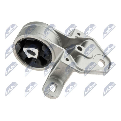 NTY Lagerung, Motor ZPS-CH-001