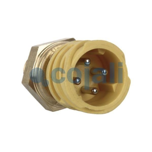 COJALI Sensor 2260284