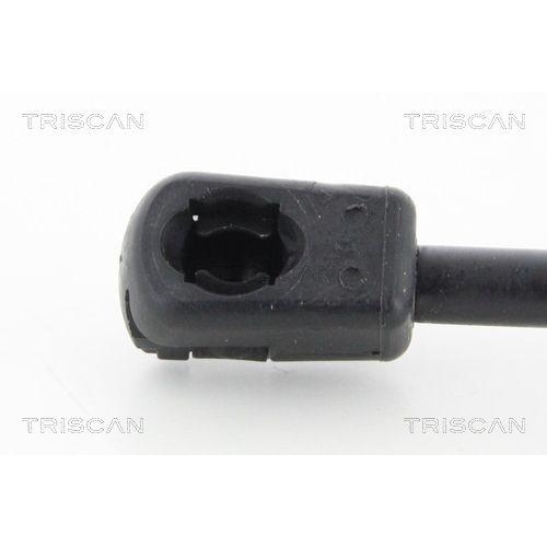 TRISCAN Gasfeder, Koffer-/Laderaum 8710 292100