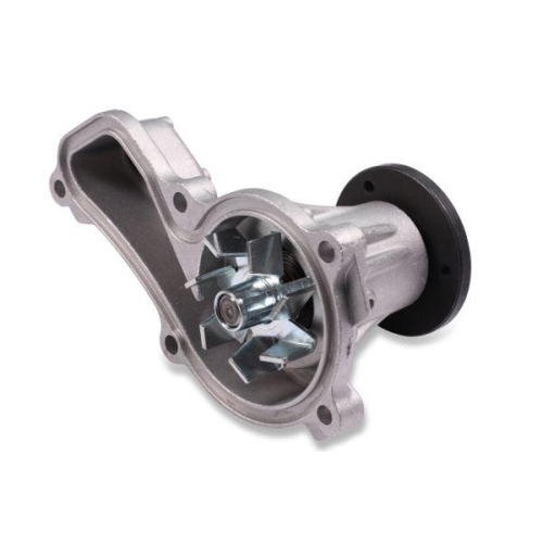HEPU Wasserpumpe, Motork&uuml;hlung P7842