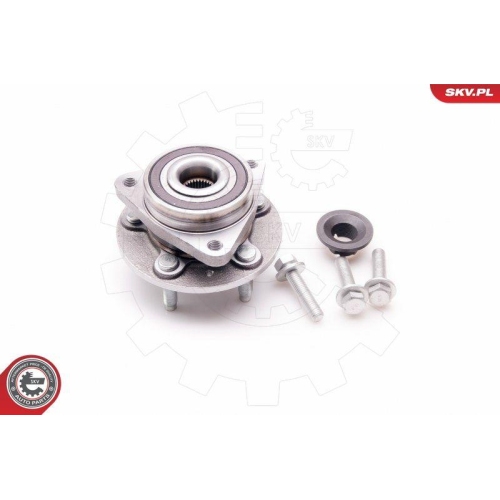 ESEN SKV Radlagersatz 29SKV124