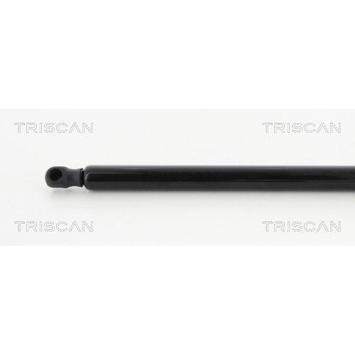 TRISCAN Gasfeder, Koffer-/Laderaum 8710 292103
