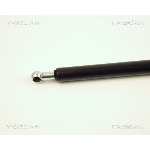 TRISCAN Gasfeder, Koffer-/Laderaum 8710 25211